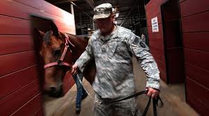 Service Animals and their Handlers