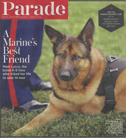 Military Dog Tribute