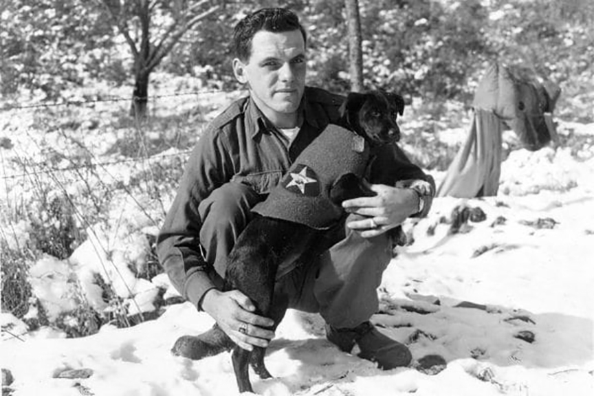 The Highground Invites Visitors to Donate to Drive for Dogs of Homeless Veterans