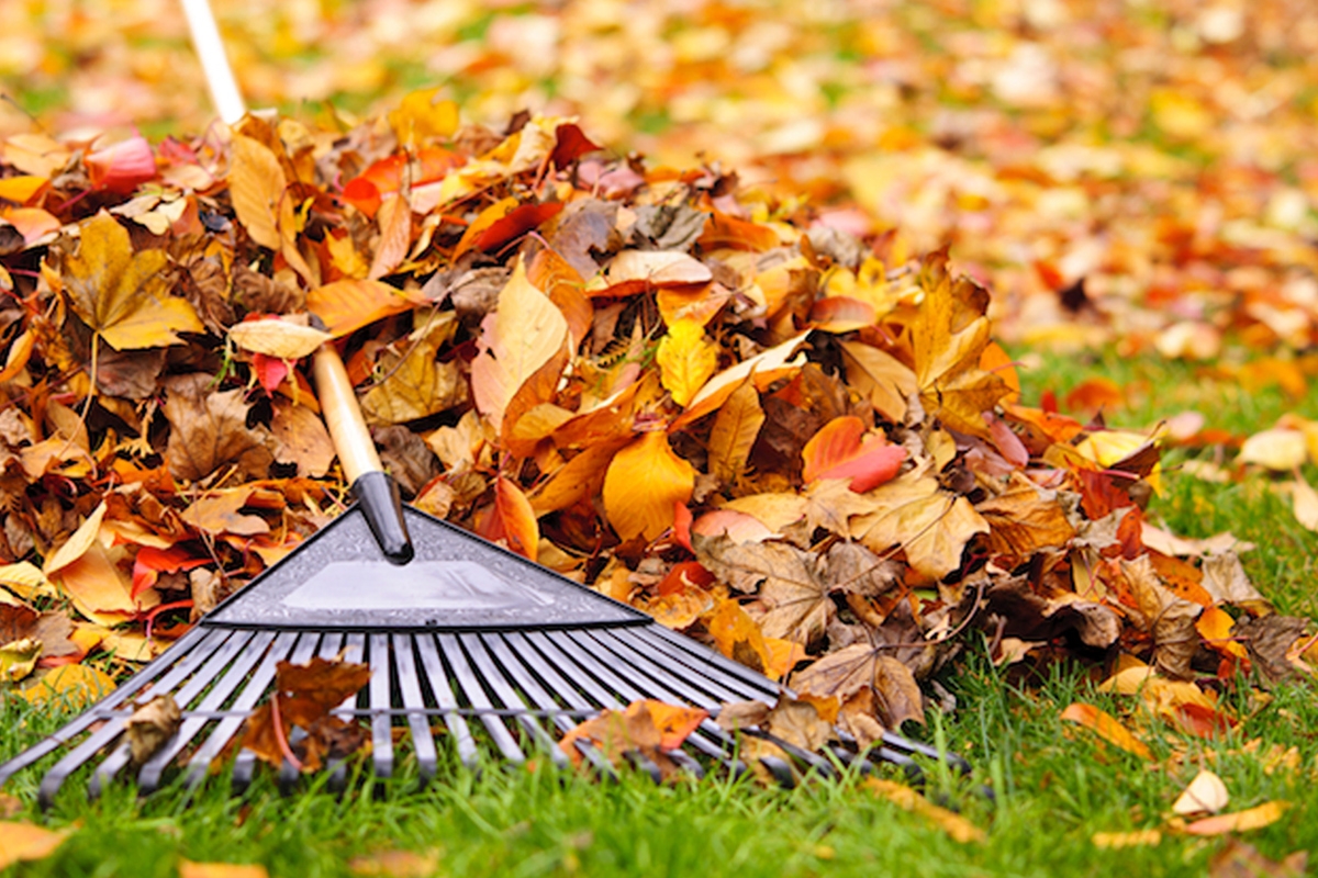 Join The Highground for Their Annual Fall Cleanup Days